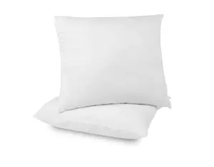 价格实惠的50厘米x 50厘米高级酒店级方垫枕头，具有防过敏功能，适合家庭和酒店使用