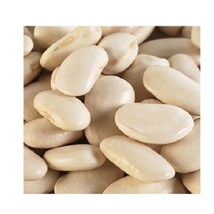 ราคาที่ดีที่สุดของถั่วไตสีขาวถั่วขาว - Product Image 2