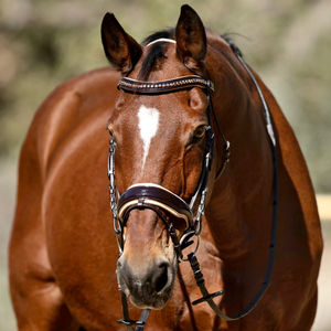 Bride Florentina Brown avec passepoil rose doré Bride en or avec muserolle brevetée en PVC Bride en or rose avec design plié - Product Image 2