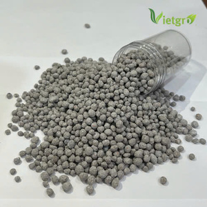 Meilleur prix en vrac NPK 14-14-14 gris engrais granulaire pour l'agriculture - Product Image 2