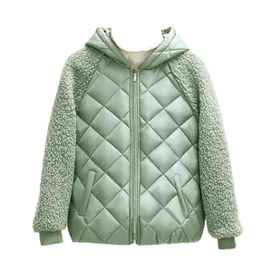 Chaqueta Acolchada con Capucha para Mujer, con Cremallera, de Algodón Grueso, Nueva Colección 2025, Manga Larga, Color Sólido, Informal, para Invierno - Product Image 1