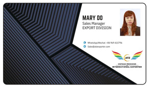 ATZ CEMENTO PORTLAND TIPO II ASTM C150 Compuesto de cemento Portland Tiempo de fraguado rápido y precio barato Usado para mampostería VN - Product Image 5