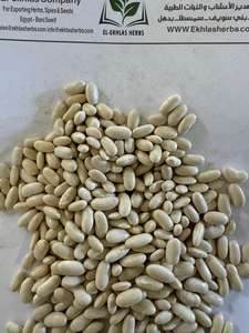 Frijoles rojos orgánicos egipcios Frijoles blancos de nueva cosecha para uso alimentario Embalaje a granel - Product Image 6