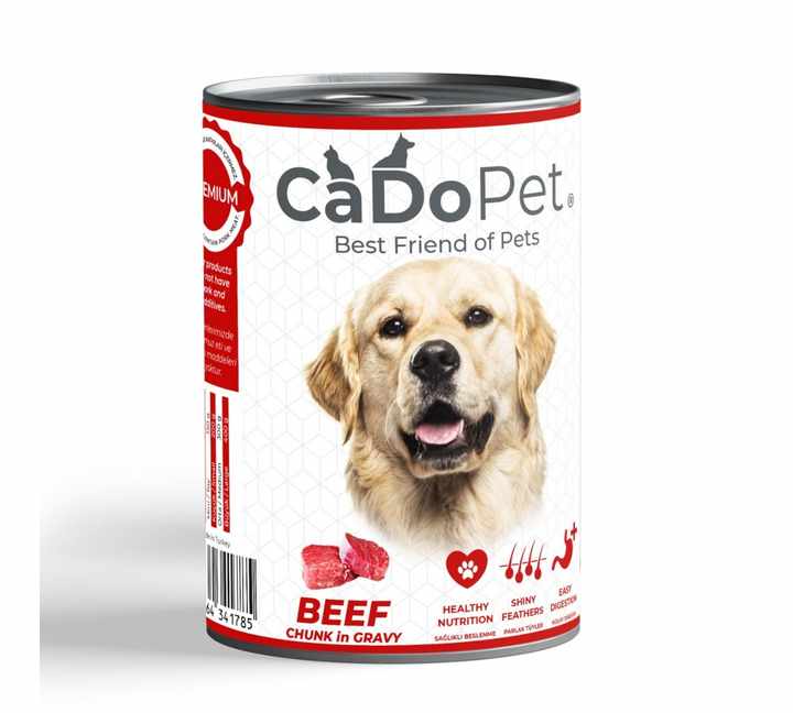 Wet Foods for Cat and Dog