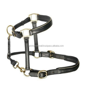 Top qualité fait à la main en cuir noir ou marron cheval licou de luxe double couture doux rembourré cheval course licou à bas prix - Product Image 5