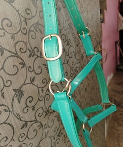 Logotipo personalizado ecuestre acolchado caballo Halter excelente calidad PVC/Nylon impermeable inglés sillín estilo anatómico modelo ajustable - Product Image 3