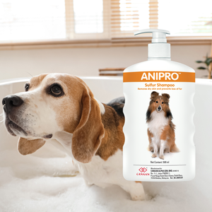 Champú Anipro con Fórmula Segura y No Tóxica para Todo Tipo de Perros, Hidratante y Humectante, Protege Contra Problemas de la Piel - Product Image 1
