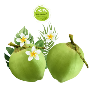 Cáscara de coco fresca vietnamita Hidratante Sabor dulce con un estilo refrescante - Product Image 3