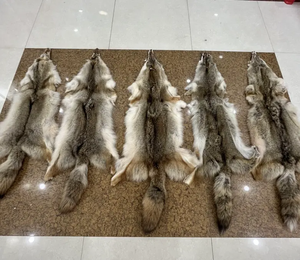 Peaux et cuirs de vache et de mouton bruts de haute qualité approuvés à la vente pour le traitement du cuir Peaux et cuirs de vache et de mouton à la vente - Product Image 2