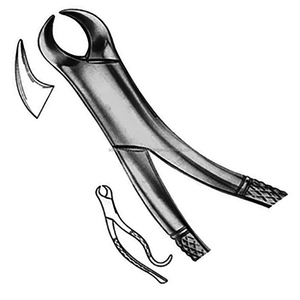 Instrumentos Quirúrgicos Dentales Desechables de Acero Inoxidable con Patrón Inglés ASAP, Alicates Extractores de Dientes Manuales de Un Solo Uso, CE - Product Image 1