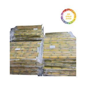 Trozos de caña de azúcar congelados con forma uniforme y aroma natural: perfectos para jugos comerciales y ventas de exportación al por menor - Product Image 2