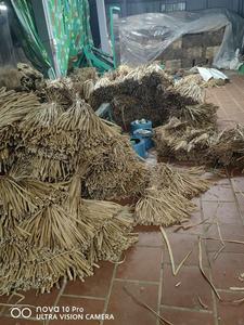 Material de jacinto de agua seca de alta calidad para decoración de sombrero de cesta hecha a mano precio más barato de Vietnam - Product Image 3