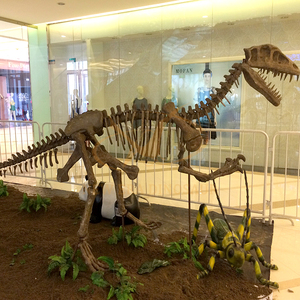 Fossiles <span class=keywords><strong>de</strong></span> dinosaures simulés animatroniques d'intérieur en taille réelle pour musée pour centres commerciaux aéroports garderies jardins d'enfants en métal - Product Image 2