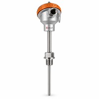 Sensor Suhu Industri Kustom SYJT dengan Probe 200 mm untuk Aplikasi IP67