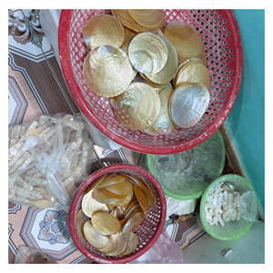 Plateau en nacre, plat en coquille naturelle pour le thé, les collations, les noix, le service et la décoration de table, origine Vietnam - Product Image 6