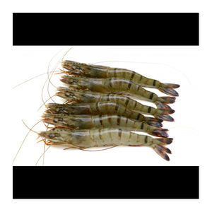 Camarones Tigre negros congelados camarones congelados Vietnam mariscos de buena calidad Etiqueta Privada para venta al por mayor - Product Image 2