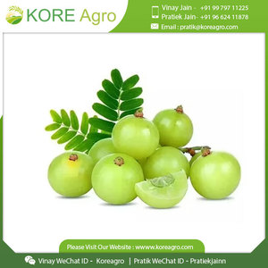 Polvo de grosella espinosa India Amla natural 100% disponible a precio mayorista - Product Image 2