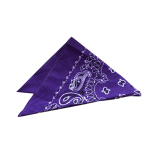 Wholesale Adults Hip Hop Style Breathable Cotton <b>Bandana</b> Slippers with Paisley Flower Design Black Color - Product Image 6