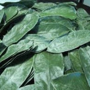 Hojas de Guanábana enteras Verdes Naturales secas orgánicas puras de calidad superior para té de hierbas - Product Image 3