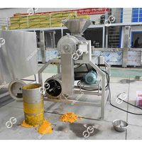 Équipement de production de jus de pulpe de mangue, machine à pulper les fruits à double pression, machine à pulper la pâte de tomate