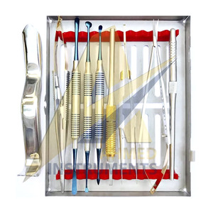 10 piezas nueva llegada personalización Logo impresión Dental Micro cirugía oral instrumentos Kit por SUAVE instrumentos quirúrgicos - Product Image 1