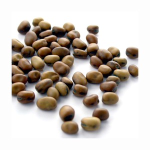 Modified Starch for Snack Horse <b>Beans</b> Mocha Edible Pearl for Sale Wholesale Fava <b>Bean</b> - Product Image 5