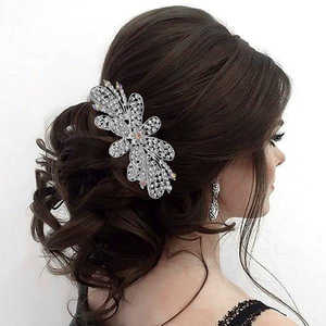 Apurva Perles Tendance Cristal Broche Blanc Pierre Autrichienne Accessoire De Cheveux Diamant Strass 1502082 Rose Fleur En Alliage De Zinc - Product Image 1