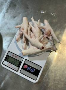 Vente en gros de pieds de poulet halal frais congelés et transformés sous contrôle hygiénique, qualité export, prêts pour la vente mondiale - Product Image 6