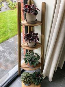 Multifunctional Durable Handmade Modern 4-Tier Buffalo Bone Photo <b>Frame</b> for <b>Plants</b> Display Outdoor and Indoor Home Decor - Product Image 2