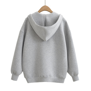 2025 femmes décontracté couleur unie à capuche veste nouveau à la mode Style ample éponge tissu automne design de mode sweats à capuche - Product Image 2