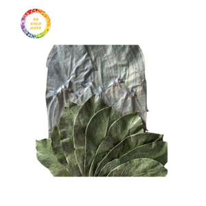 Feuilles de graviola séchées de qualité supérieure pour l'exportation, meilleures offres pour les commandes en gros sans produits chimiques ni conservateurs ajoutés - Product Image 1