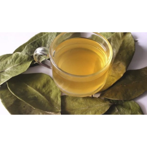 ใบทุเรียนเทศแห้ง100% | งานฝีมือป่า, มือหยิบและอากาศแห้ง | guanabana graviola - Product Image 6