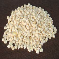 Maíz blanco seco orgánico de alta calidad a la venta para alimentación humana y animal - Product Image 2