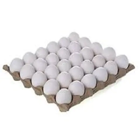 Farm Fresh Chicken Table Eggs Braun und Weiß/Fresh Table Eggs White / Brown zu verkaufen Kanada