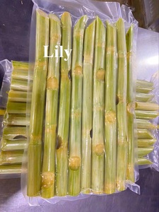 Cañas de Caña de Azúcar Congeladas Peladas/Sin Pelar de Alta Calidad - 10-20cm Dulces y Jugosas/ Lily para Bebidas - Product Image 5