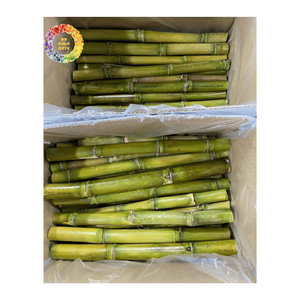 La canne à sucre congelée naturelle bloque la bonté non traitée pure du Vietnam pour la production d'aliments frais - Product Image 6