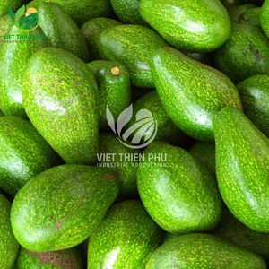 Viet Thien Phu อโวคาโดแช่แข็ง Iqf ที่เก็บน้ำเกรดพรีเมี่ยมบรรจุภัณฑ์แบบใหม่ล่าสุด - Product Image 5