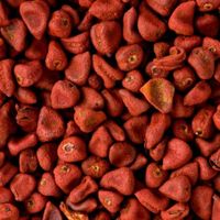 Penjualan Terbaik seluruh Annatto harga grosir tas ritsleting produksi pertanian Vietnam kualitas Premium teratas
