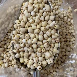 Graines de lotus blanches séchées du Vietnam - Superaliment riche en nutriments, sain, conservation 24 mois - Product Image 1