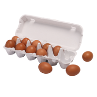 Recién llegados, caja de 2024 docenas de huevos con pulpa de papel moldeada biodegradable, caja de huevos degradable a precio barato hecha en Vietnam