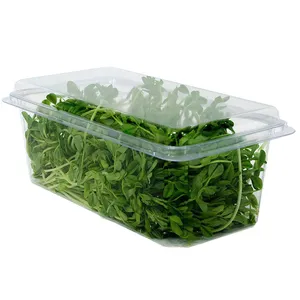 Venta caliente rectangular de plástico transparente contenedor de verduras embalaje de concha de lechuga viva con tapa