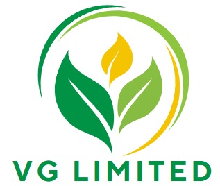 VG Limited logo