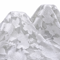 Tissu floral brûlé en maille 100 % polyester, léger et transparent, pour robes et chemisiers, imprimable, OEM/ODM disponible