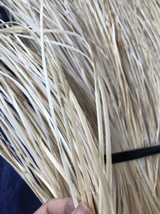 High Quality Rattan in Large Quantity Sourced From Vietnam - Product Image 5