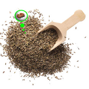 <b>Dill</b> | Healthy Culinary Item for Organic Cooking - Product Image 4