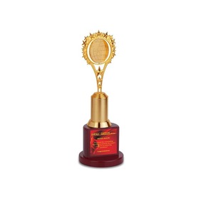 Fournisseur indien Golden Star avec Trophée Globe rotatif pour célébrer les réalisations mondiales disponibles au prix d'exportation - Product Image 1