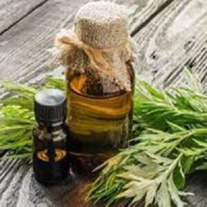 Aceite esencial de Armoise de alta calidad para una piel Brillante al Mejor precio del proveedor indio Aceite esencial de Armoise - Product Image 1