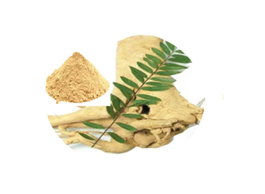 Polvo de extracto de Tongkat Ali al por mayor de fábrica de La India con etiqueta privada - Product Image 6