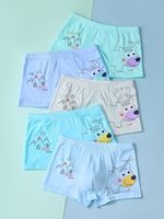 Sous-vêtements sexy pour femmes, jupes mi-longues, 100% coton tricoté, tissu personnalisé, service OEM, logo de marque personnalisé de haute qualité, BD Light