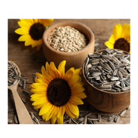 Viet Nam Usine D'approvisionnement Pas Cher Prix Cru Soleil Graines De Fleurs